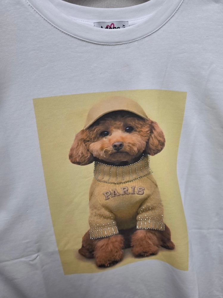bluzka-tshirt-agape-biala-oversize-aplikacja-3d-pudel-zolty-krotki-rekaw-bawelna-elastan-wloska-produkcja-modna-casual-wiosna-lato-butik-szykownia-8